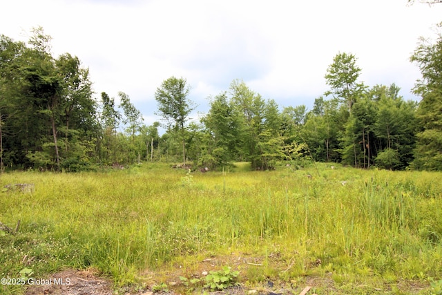 3854 State Highway 30, Mayfield, NY 12010 - photo 14