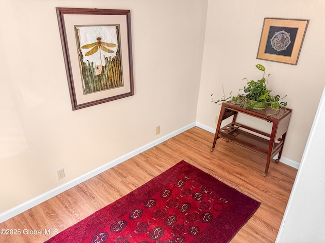 4882 Potter Hollow Rd, Rensselaerville, NY 12469 - hallway featuring wood finished floors and baseboards