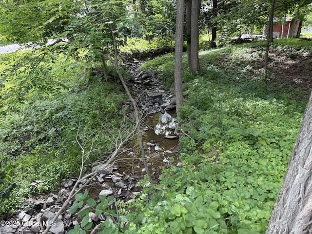 4882 Potter Hollow Rd, Rensselaerville, NY 12469 - view of undeveloped land
