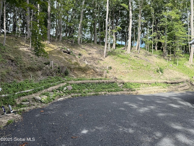 4882 Potter Hollow Rd, Rensselaerville, NY 12469 - view of yard