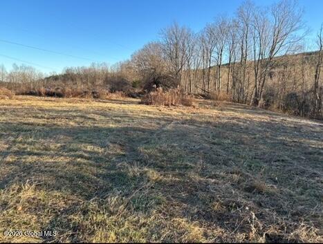 4882 Potter Hollow Rd, Rensselaerville, NY 12469 - view of yard with a view of countryside