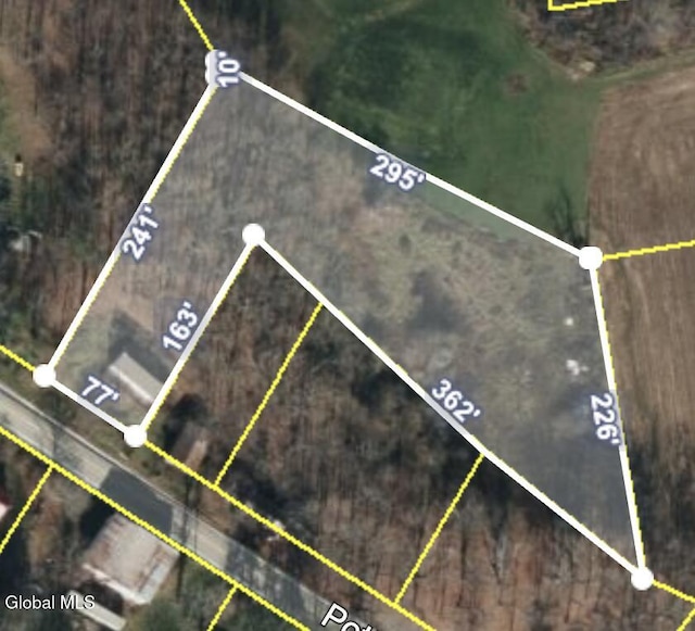 4882 Potter Hollow Rd, Rensselaerville, NY 12469 - aerial map of property and surrounding area