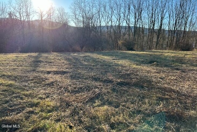 4882 Potter Hollow Rd, Rensselaerville, NY 12469 - view of yard