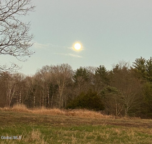 4882 Potter Hollow Rd, Rensselaerville, NY 12469 - view of undeveloped land