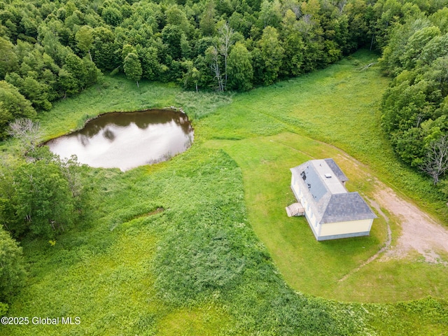410 Jones Hill Rd, Jefferson, NY 12093 - view from above of property featuring a nearby body of water