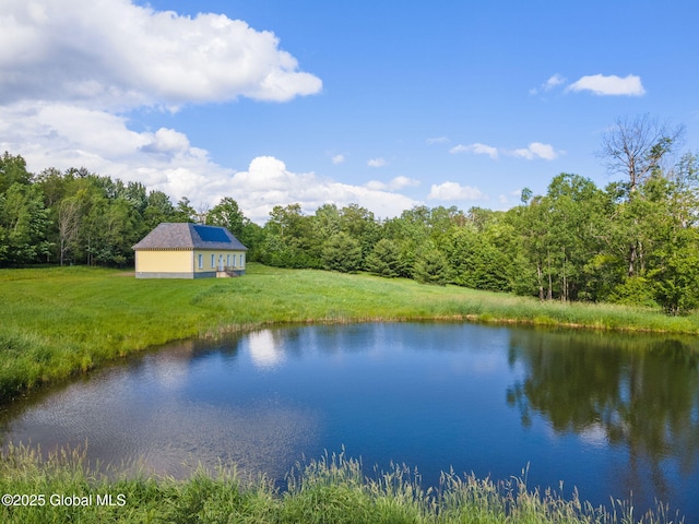410 Jones Hill Rd, Jefferson, NY 12093 - water view featuring a forest