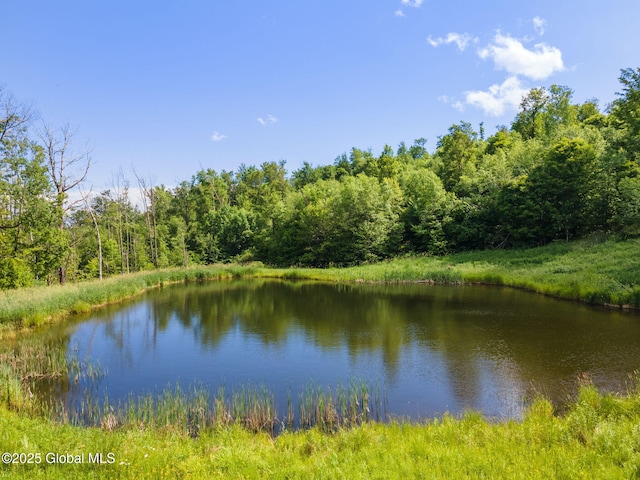 410 Jones Hill Rd, Jefferson, NY 12093 - water view featuring a heavily wooded area