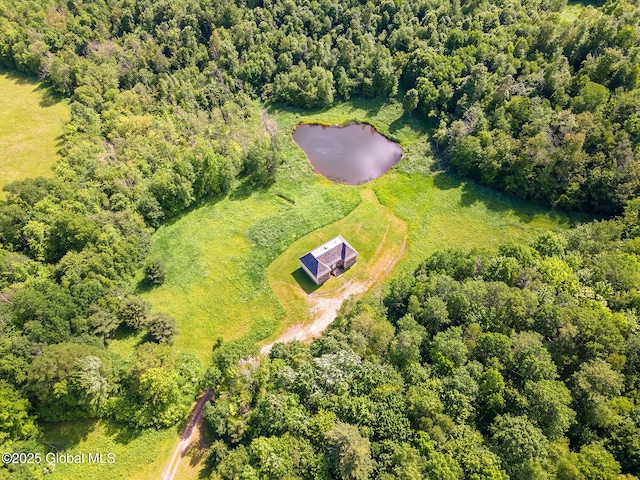 410 Jones Hill Rd, Jefferson, NY 12093 - aerial overview of property's location with a heavily wooded area and a nearby body of water