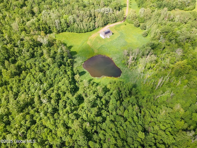 410 Jones Hill Rd, Jefferson, NY 12093 - drone / aerial view of a forest