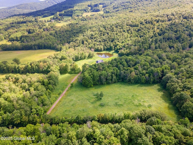 410 Jones Hill Rd, Jefferson, NY 12093 - aerial view of a forest