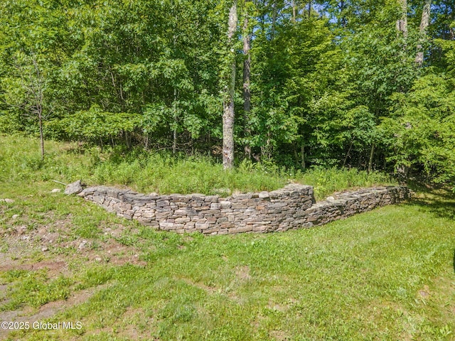 372 Jones Hill Rd, Jefferson, NY 12093 - view of yard with a forest view