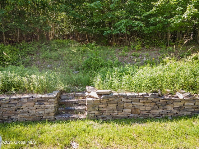 372 Jones Hill Rd, Jefferson, NY 12093 - view of yard