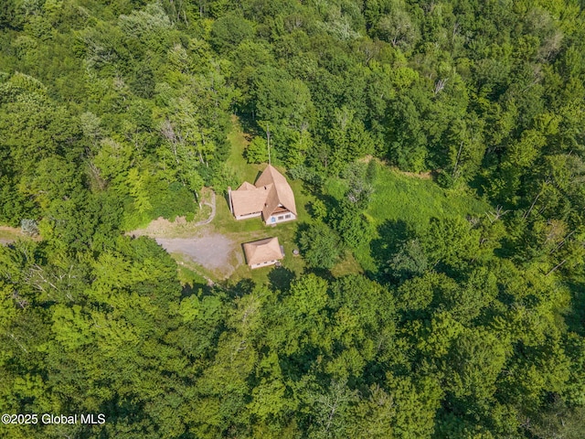 372 Jones Hill Rd, Jefferson, NY 12093 - view from above of property with a heavily wooded area