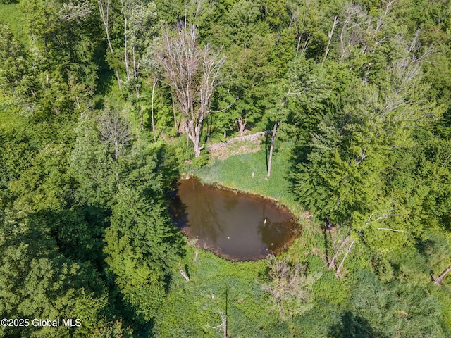 372 Jones Hill Rd, Jefferson, NY 12093 - drone / aerial view