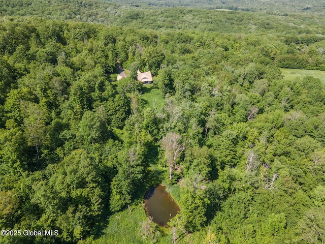 372 Jones Hill Rd, Jefferson, NY 12093 - bird's eye view of a forest