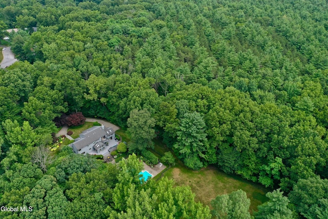 14 Friar Tuck Ct, Clifton Park, NY 12065 - aerial view of property and surrounding area featuring a forest