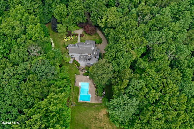 14 Friar Tuck Ct, Clifton Park, NY 12065 - aerial view of property's location featuring a pool area