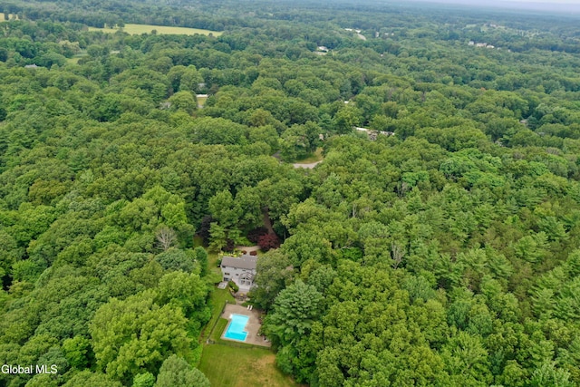 14 Friar Tuck Ct, Clifton Park, NY 12065 - drone / aerial view of a heavily wooded area