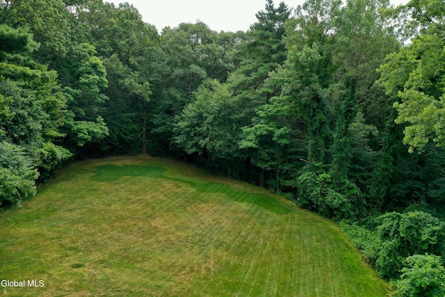 14 Friar Tuck Ct, Clifton Park, NY 12065 - view of grassy yard with a view of trees
