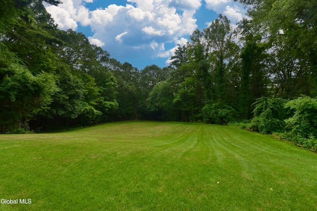 14 Friar Tuck Ct, Clifton Park, NY 12065 - view of grassy yard