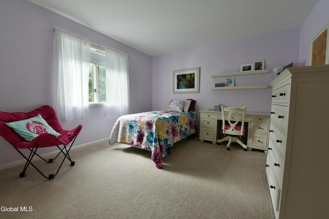 14 Friar Tuck Ct, Clifton Park, NY 12065 - bedroom with carpet and baseboards