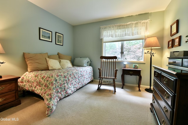 14 Friar Tuck Ct, Clifton Park, NY 12065 - bedroom with light carpet and baseboards