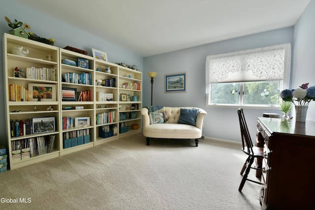 14 Friar Tuck Ct, Clifton Park, NY 12065 - carpeted office featuring baseboards