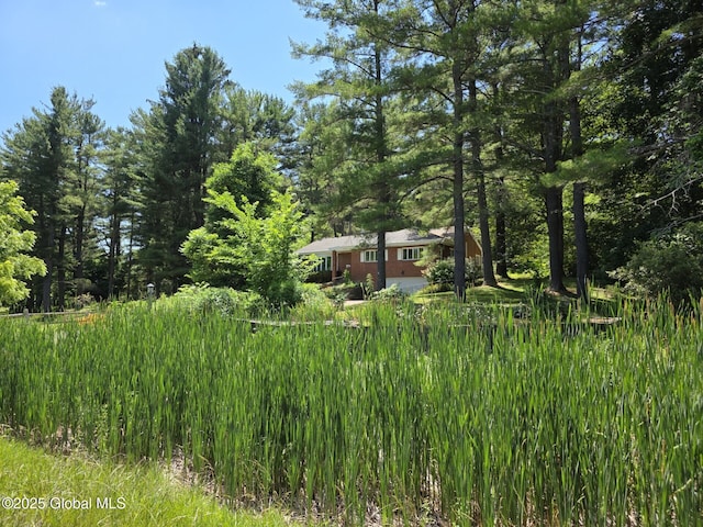 1718 Thacher Park Rd, Berne, NY 12059 - view of yard featuring a view of trees