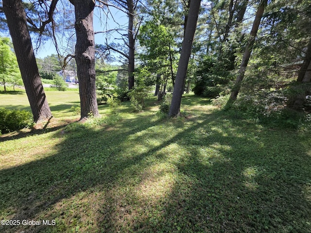 1718 Thacher Park Rd, Berne, NY 12059 - view of grassy yard