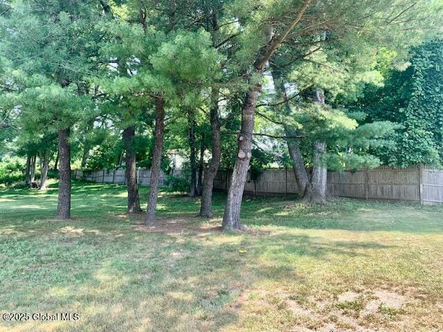 2059 Rosedale Way, Guilderland, NY 12303 - view of yard