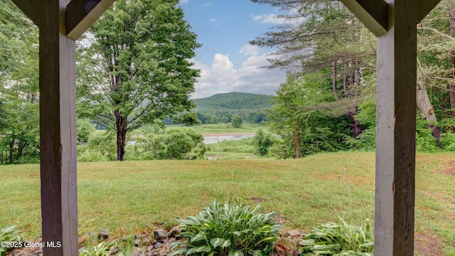 279 River Rd, Benson, NY 12134 - photo 45