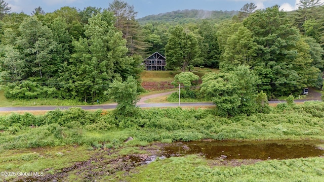 279 River Rd, Benson, NY 12134 - photo 58