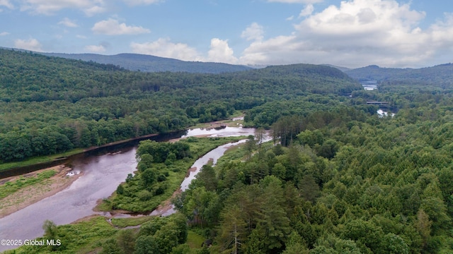 279 River Rd, Benson, NY 12134 - photo 64
