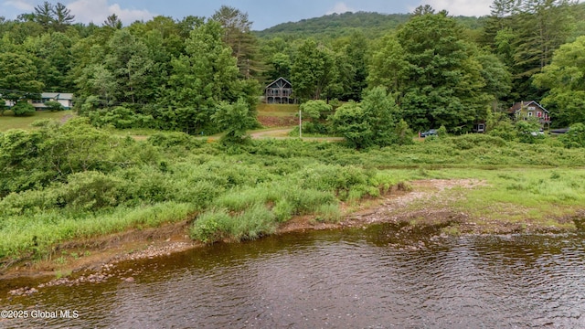 279 River Rd, Benson, NY 12134 - photo 5