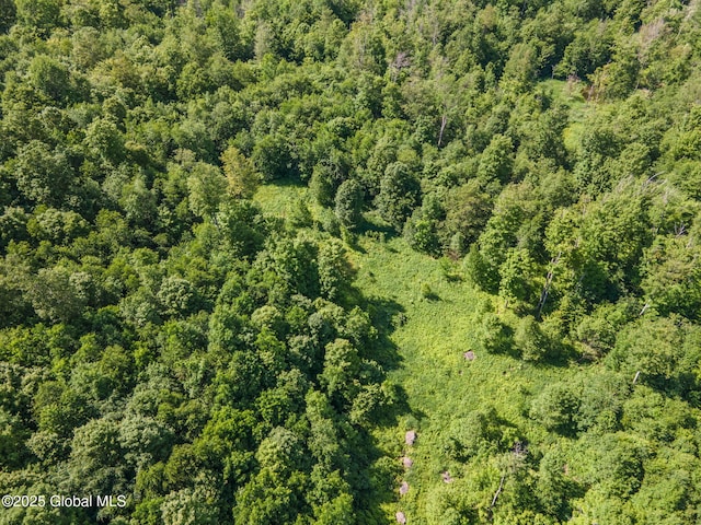 L4 Harvish Rd, Jefferson, NY 12167 - photo 1
