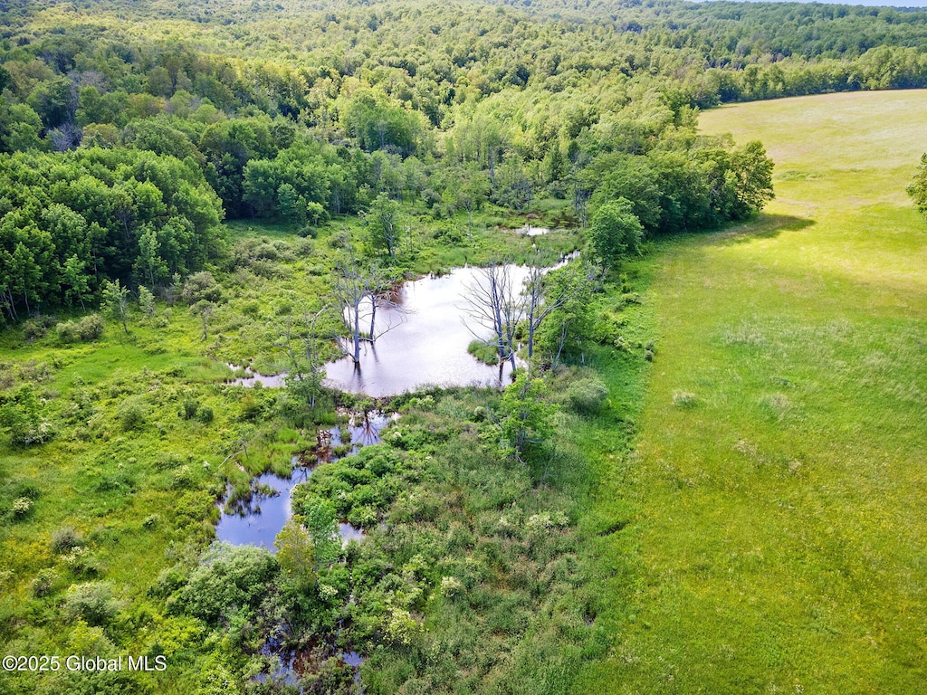 L4 Harvish Rd, Jefferson, NY 12167 - photo 3