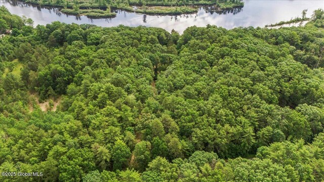 195 Big Boom Rd, Queensbury, NY 12804 - photo 6