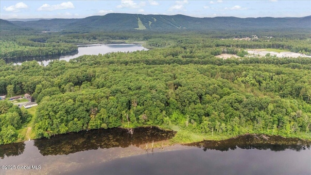 195 Big Boom Rd, Queensbury, NY 12804 - photo 9