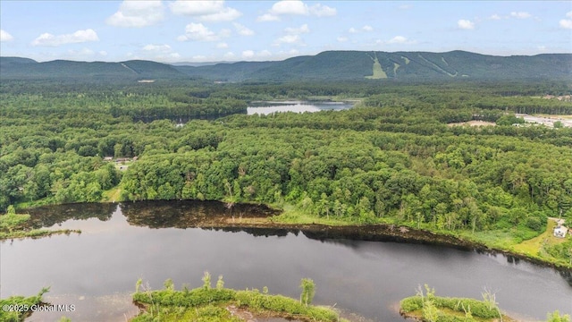195 Big Boom Rd, Queensbury, NY 12804 - photo 5