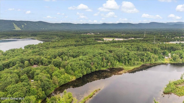 195 Big Boom Rd, Queensbury, NY 12804 - photo 11