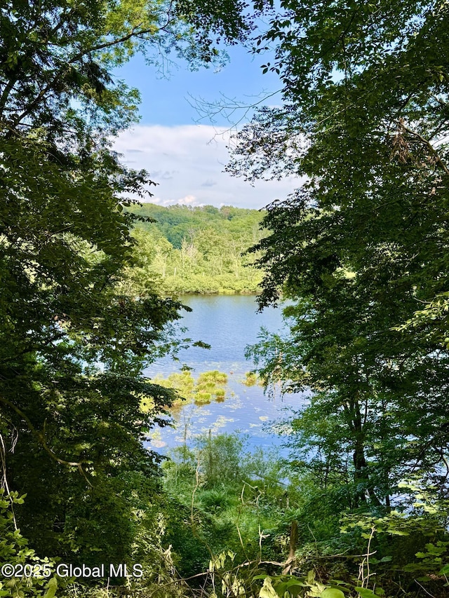 195 Big Boom Rd, Queensbury, NY 12804 - photo 13