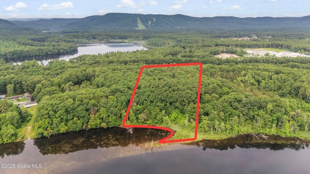 195 Big Boom Rd, Queensbury, NY 12804 - photo 4