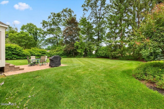630 Salvia Ln, Guilderland, NY 12303 - view of grassy yard with a patio