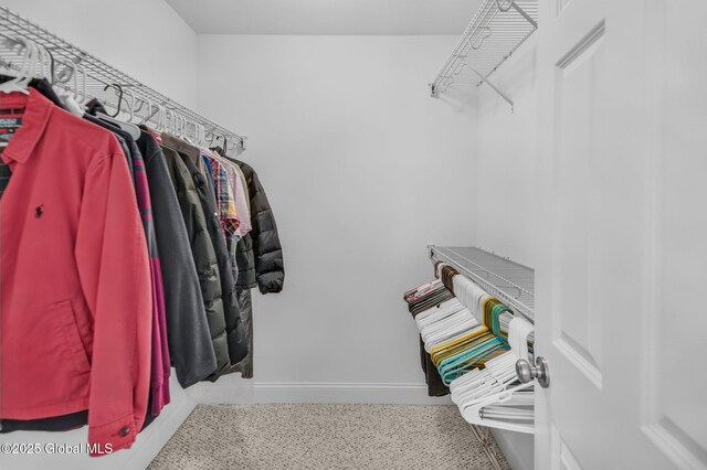 21 Beacon Dr, Colonie, NY 12189 - view of walk in closet