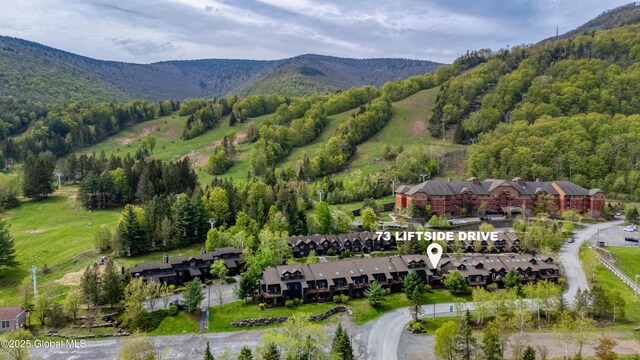 73 Liftside Dr Unit B1, Hunter, NY 12485 - photo 23