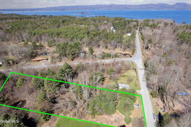 L2 Lampman Rd, Broadalbin, NY 12025