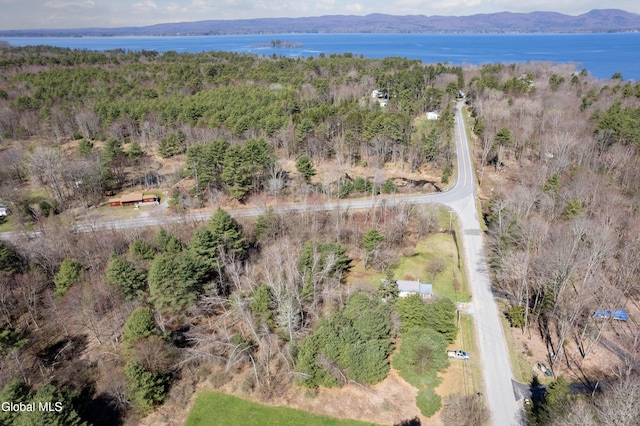 L2 Lampman Rd, Broadalbin, NY 12025