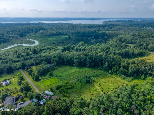 247 E Kaydeross Ave Lot 2, Saratoga Springs, NY 12866 - photo 6
