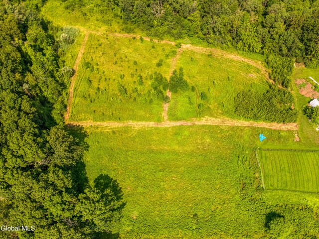 247 E Kaydeross Ave Lot 2, Saratoga Springs, NY 12866 - photo 5