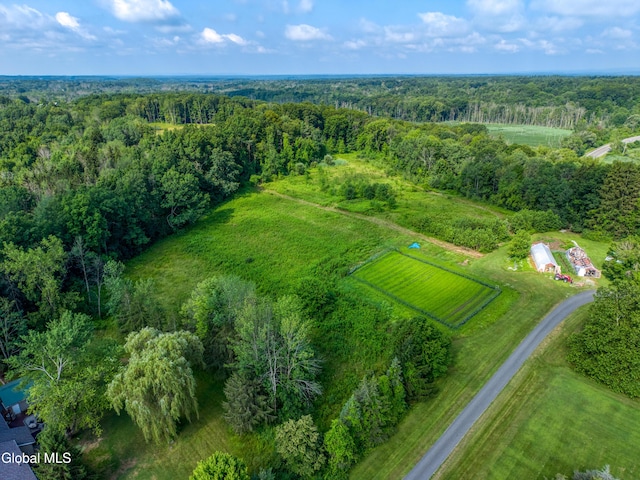 247 E Kaydeross Ave Lot 2, Saratoga Springs, NY 12866 - photo 3